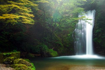 Obituary of María De Los Angeles Lugo Soto