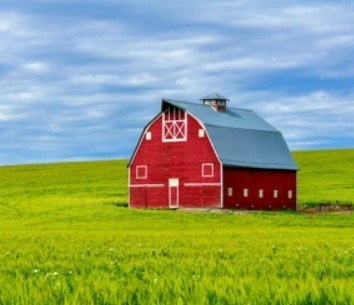 Obituary of Fay Parish