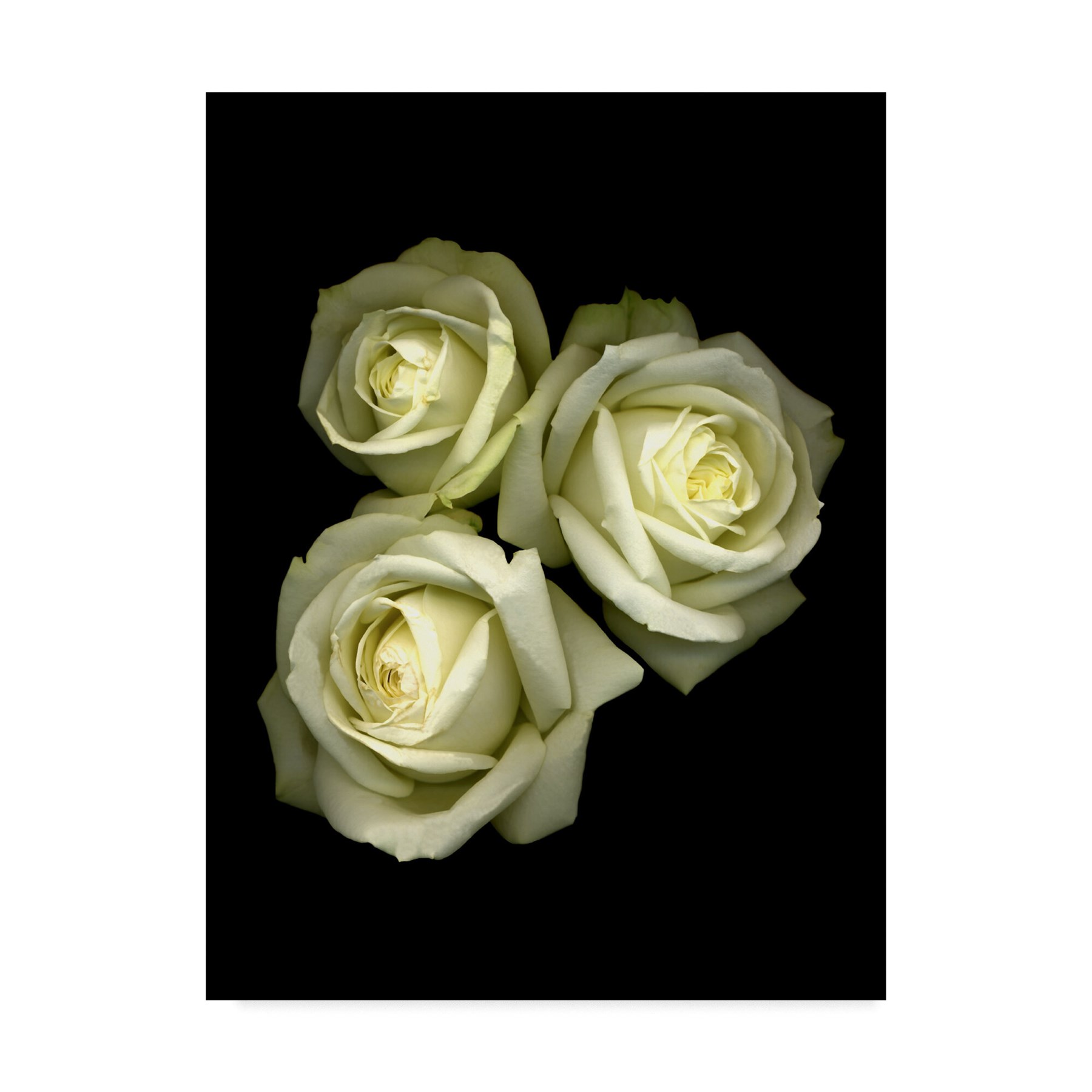 Obituary of Isabel Mora Carrillo