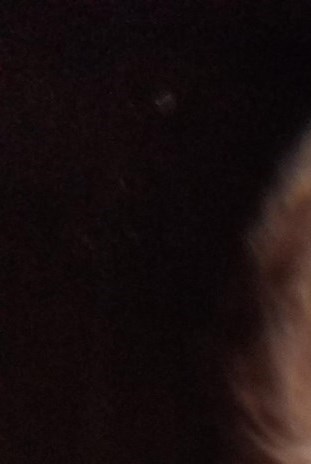 Staten Island Advance Obituaries Ny