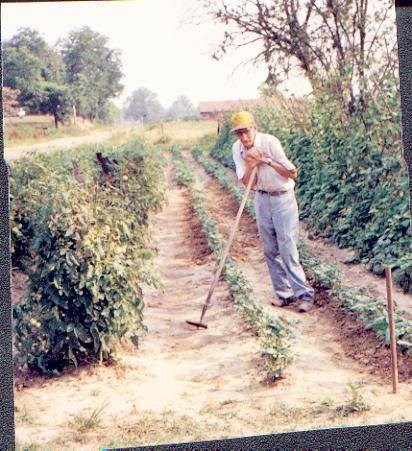 Obituary of george l lewis