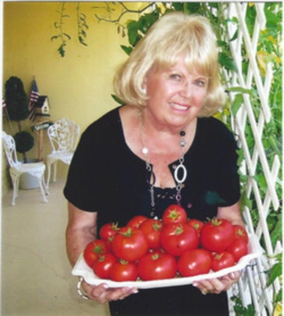 Obituary of Patricia Ann Boyle