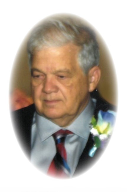 Obituary of Dr. David L Snyder