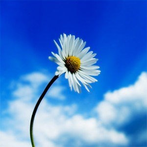 Obituary of Betty Browning Little