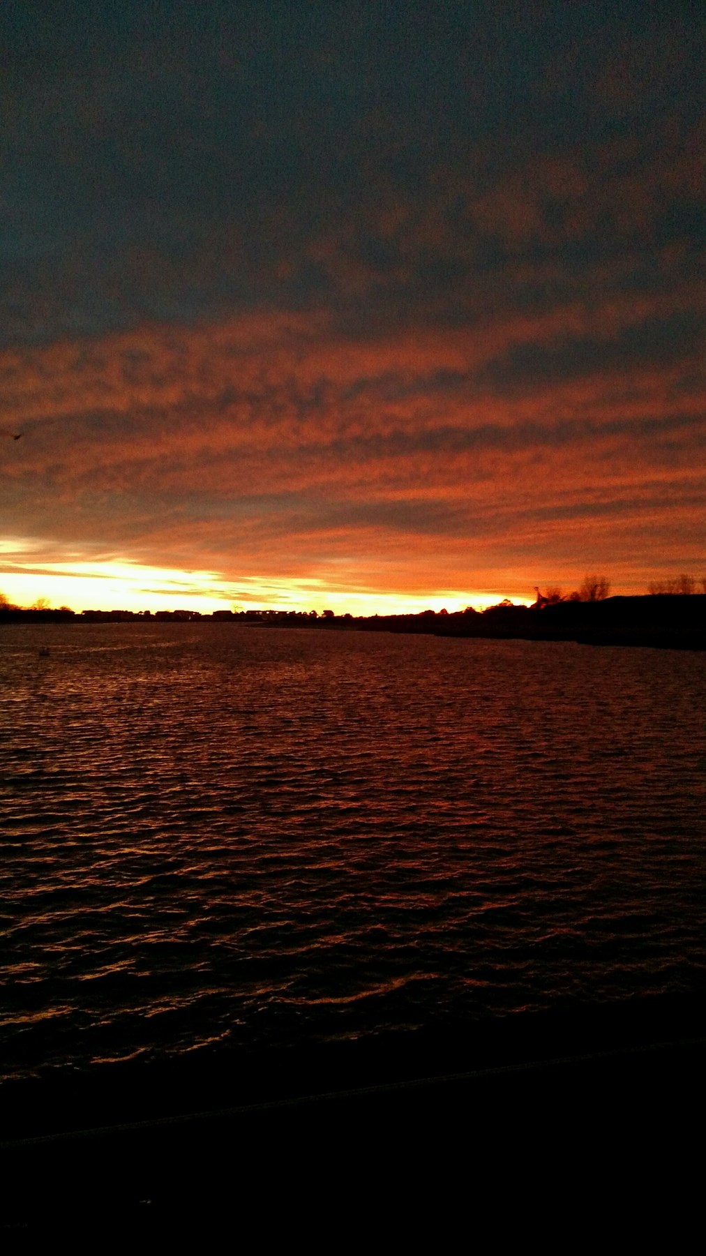 Obituary of Gregory Steven Brown