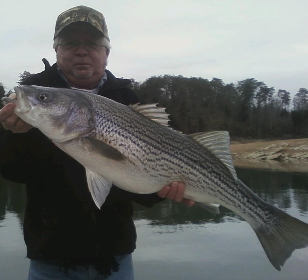 Obituary of Randy Jordan