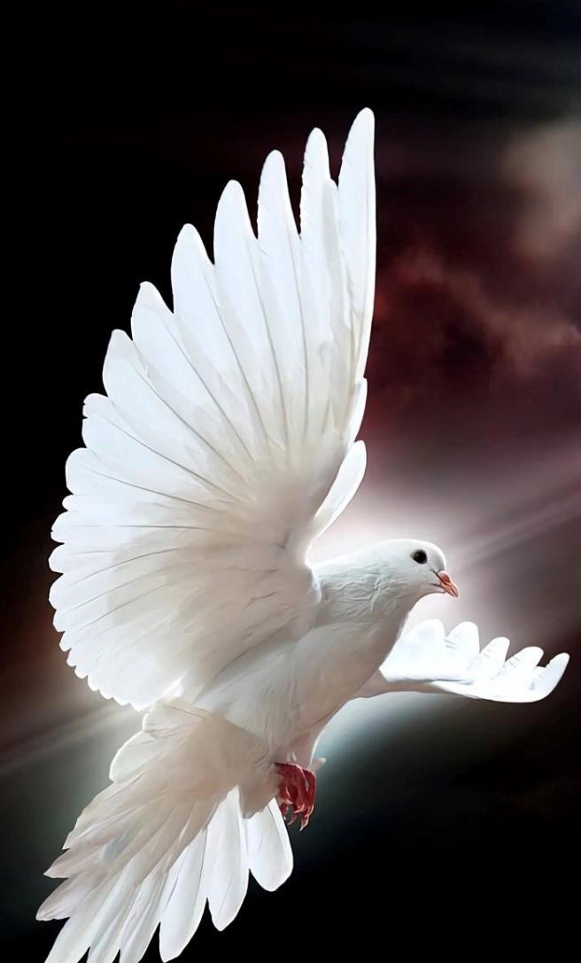 Avis de décès de Juan C. Mendez Pereton