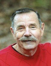 Obituary of James (Jim) Calvin Paine