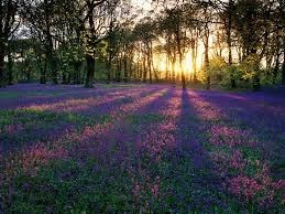 Obituary of Patsy Maxine Celina Armstrong