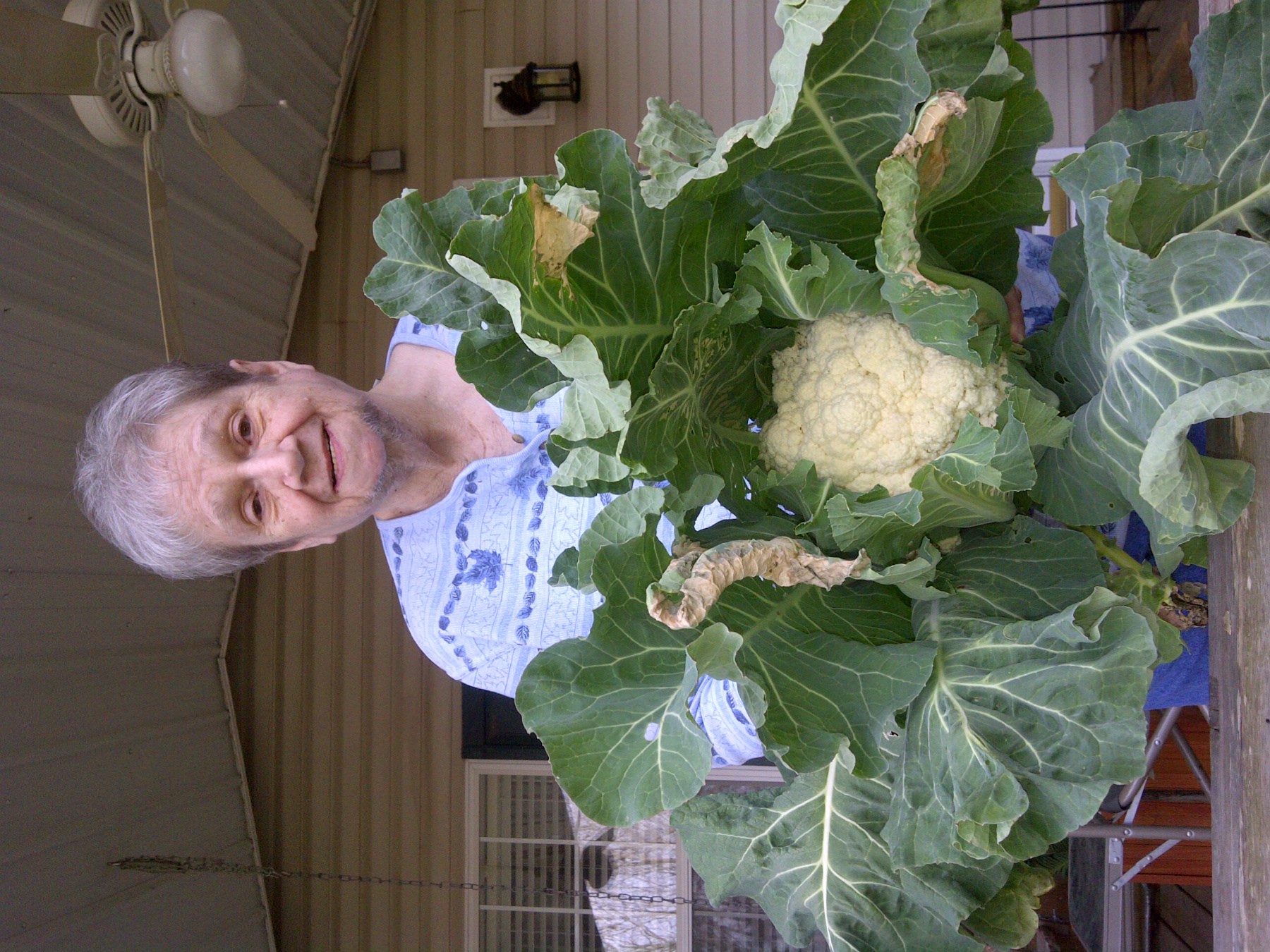 Obituary of Elaine Owen