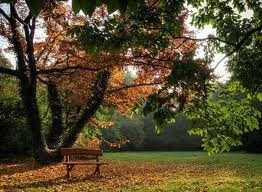 Obituary of Robert Vaughn