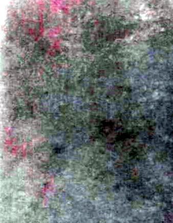 Wilson And Triplett Funeral Home Obituaries wilson-and-triplett-funeral-home-obituaries