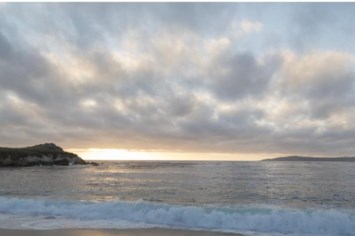 Obituary of Sung Won Kim