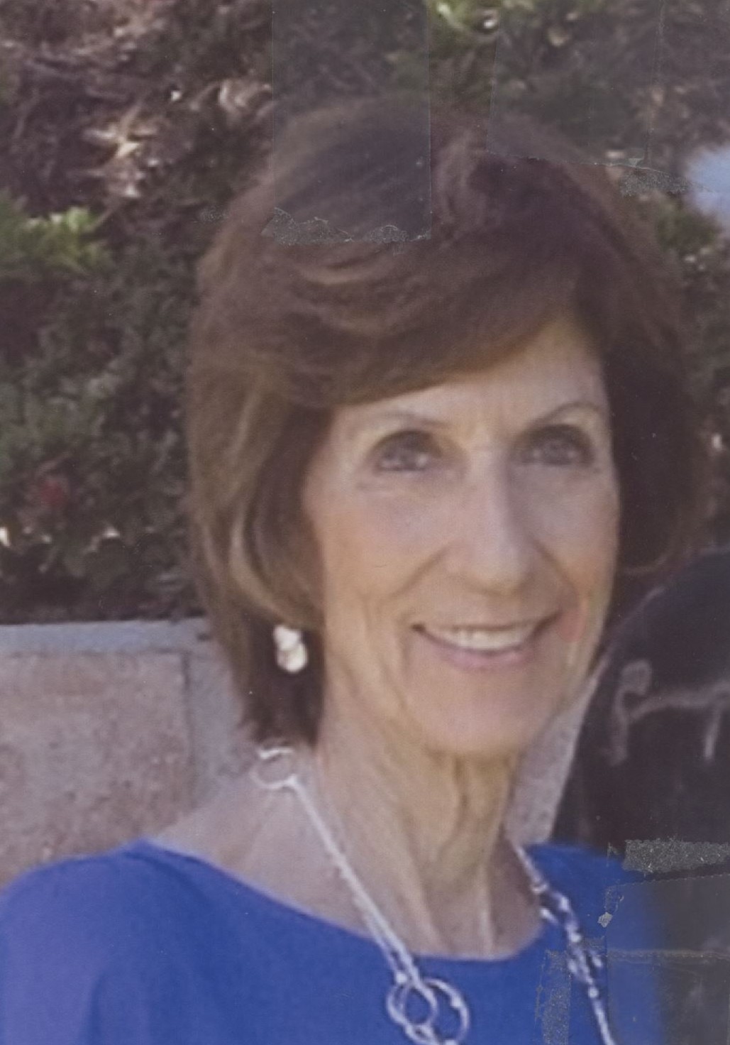 Obituary of Patricia Maclean