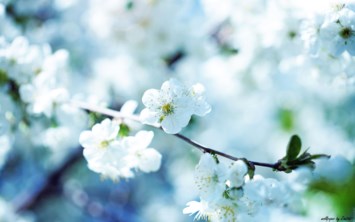 Obituary of Ruby S. Goss
