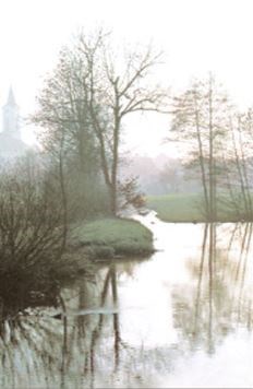 Obituary of Dennis Ray Davis