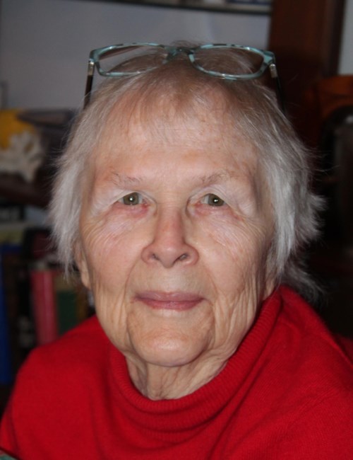 Obituary of Susan "Sue" Libby