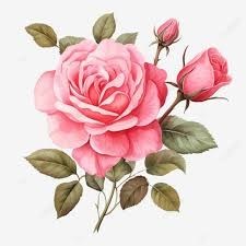 Obituary of Marie J. Cleary