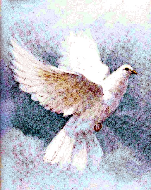 Obituary of Margaret C Gebhardt