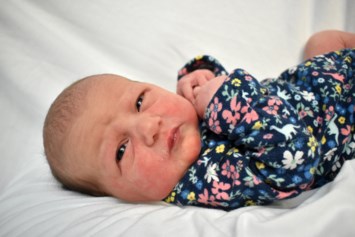 Obituary of Eliza Mae Scott