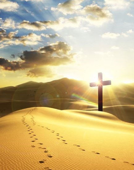 Avis de décès de Richard Neal Langan