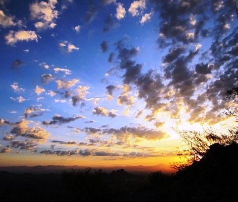 Obituary of Hope R. Simpson