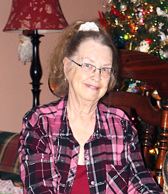 Obituary of Donna Elaine Hinkle