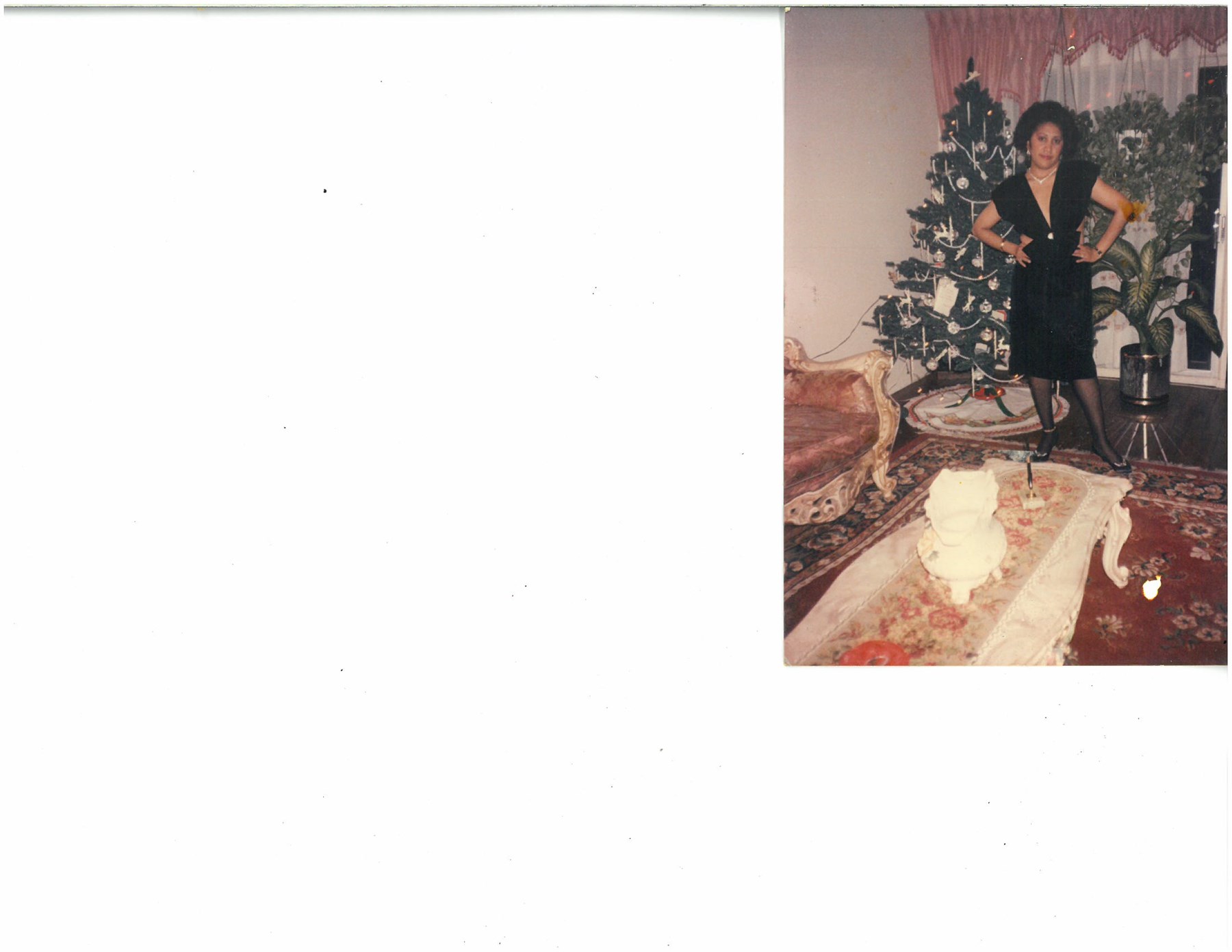 Obituary of Ligia Alicia Moreno Vivas