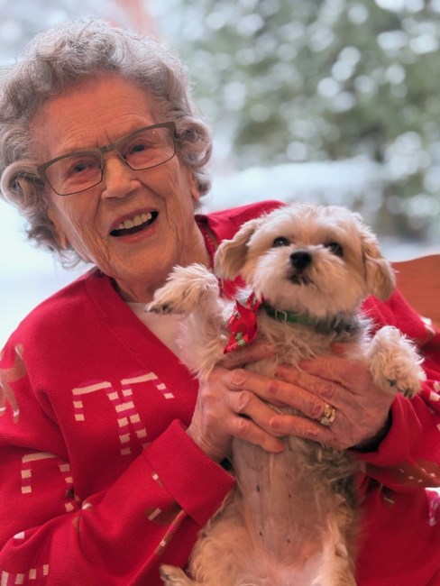 Obituary of Sophie Darmaga