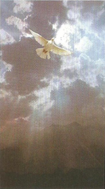 Obituary of Jennifer M. Sabatino