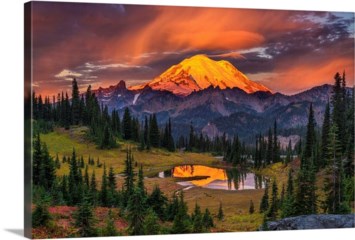 Obituary of Dorothy Kerzel