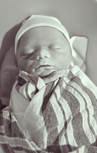 Obituary of Cole Daniel Kampmann