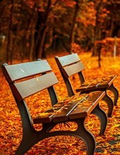 Obituary of Walter Johnson