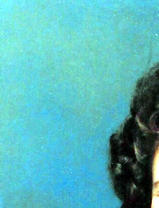 Susan Springfield Susan Cane Obituary - Springfield, IL