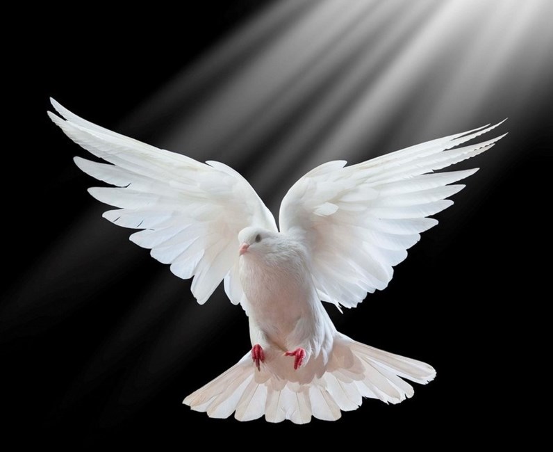 Avis de décès de Javier Gutierrez