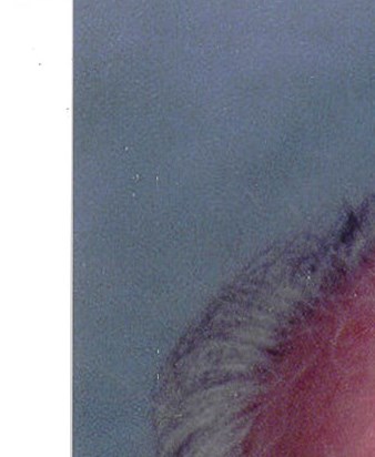 John Riley Obituary - Lakeway, TX