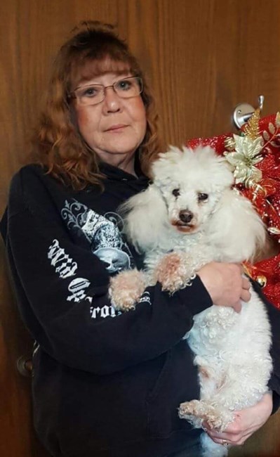 Obituary of Cindy Balogh