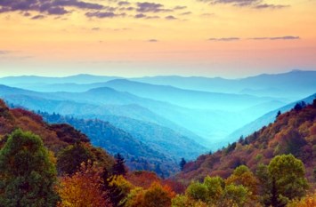 Obituary of Nancy Diane Sykes