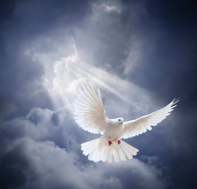 Obituary of Doris Jewel Edwards