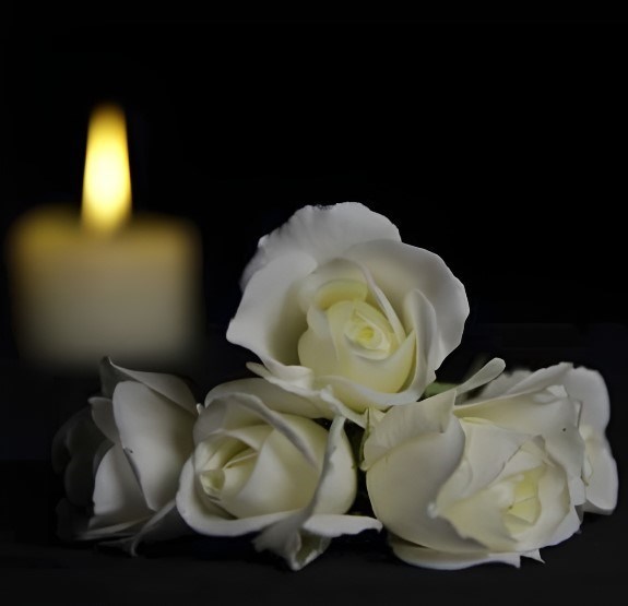 Obituary of Donald Terence van Houten