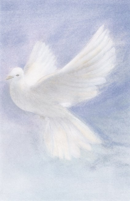 Obituary of David E. Schmucker