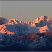 Obituary of Teresa Lynn Christy