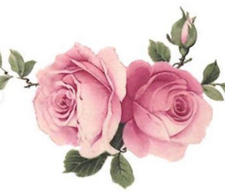 Obituary of Marcy Medina