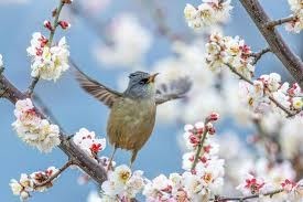 Avis de décès de Petrina Y Osborn