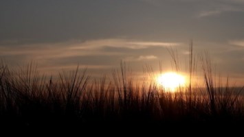 Obituary of James H. Skelton