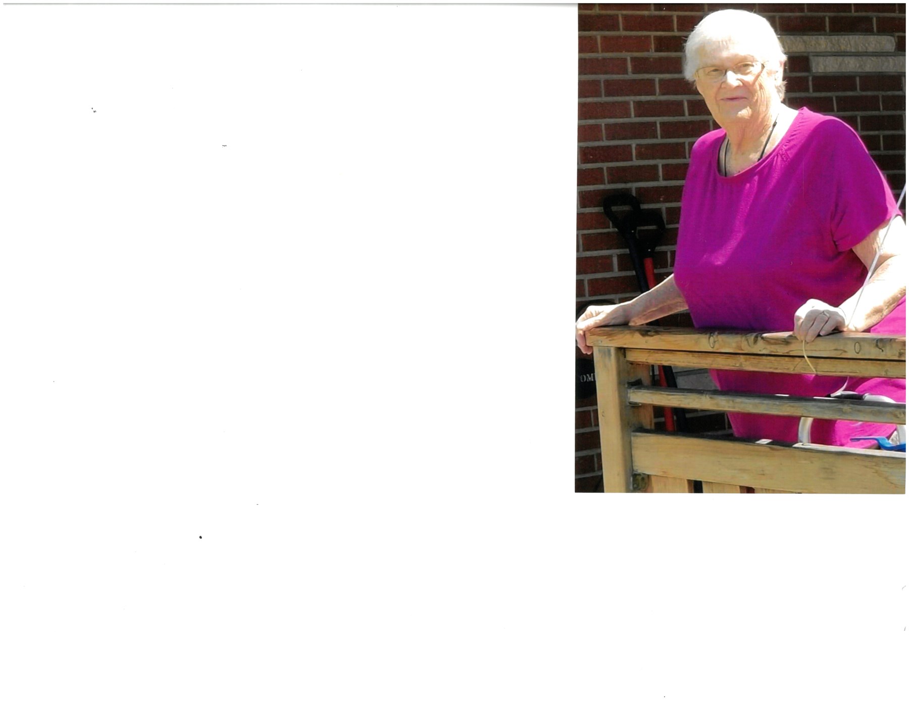 Obituary of Carole Ann Steininger