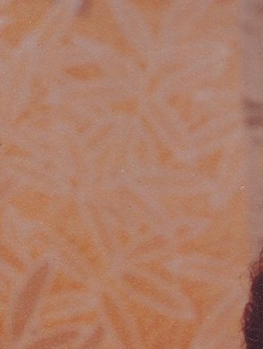 Emma Beene Capone Obituary Donaldsonville, LA