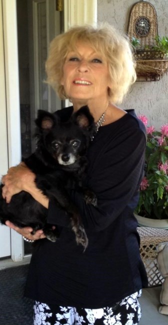 Obituary of Judith Ann Lein