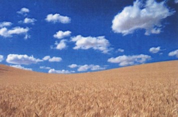 Obituary of John Edward Moreland