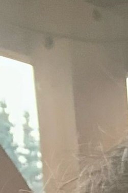 Colleen Stewart Obituary Calgary, AB